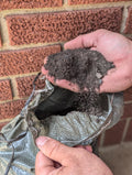 Organic Composted Garden Soil: Nutrient Rich